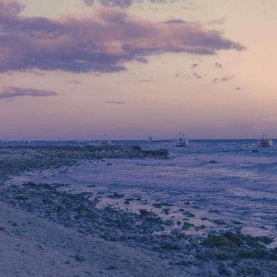 波胆app官网app下载截图